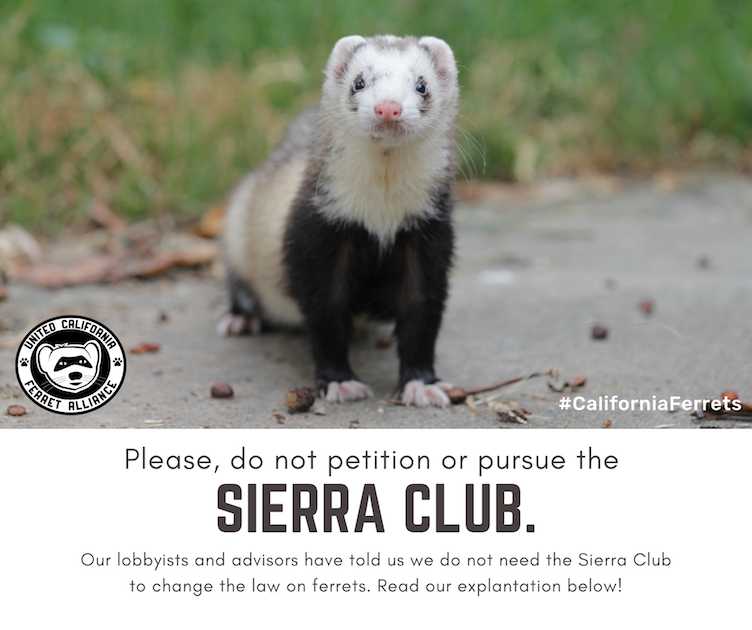 UCFA Sierra Club